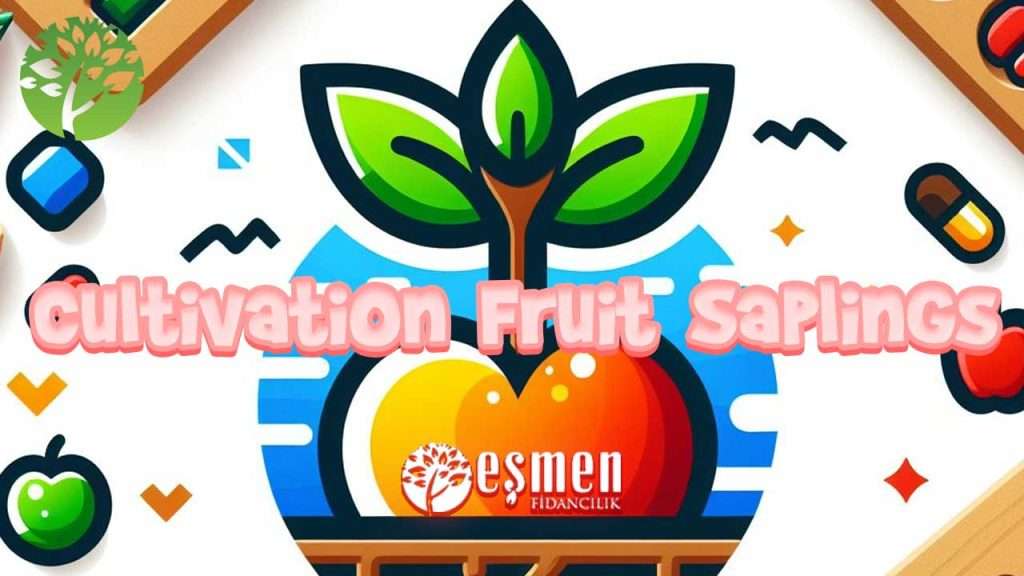 Tips cultivation fruit saplings / Meyve Fidanları