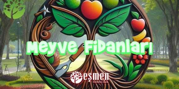 understanding Meyve Fidanları / Fruit Saplings